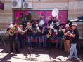 /album/dag-v-d-muziek-2017/dsc00886-jpg1/